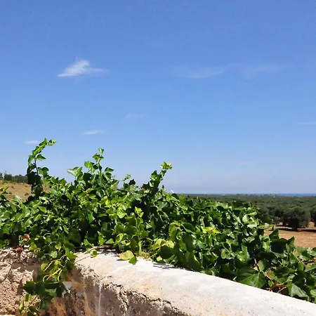 Séjour à la ferme Masseria Le Terrazze Di
