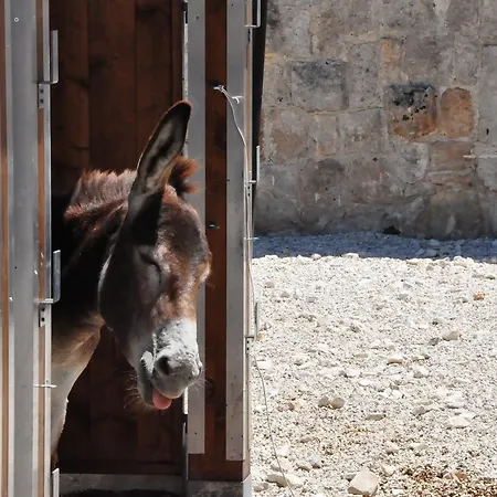 Masseria Le Terrazze Di