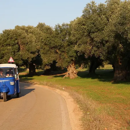 Masseria Le Terrazze Di Alloggio per agriturismo