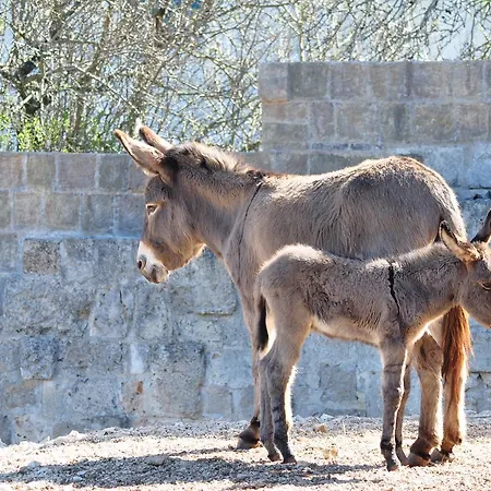 Masseria Le Terrazze Di Alojamento de Turismo Rural Serranova
