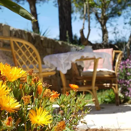 Masseria Le Terrazze Di Séjour à la ferme