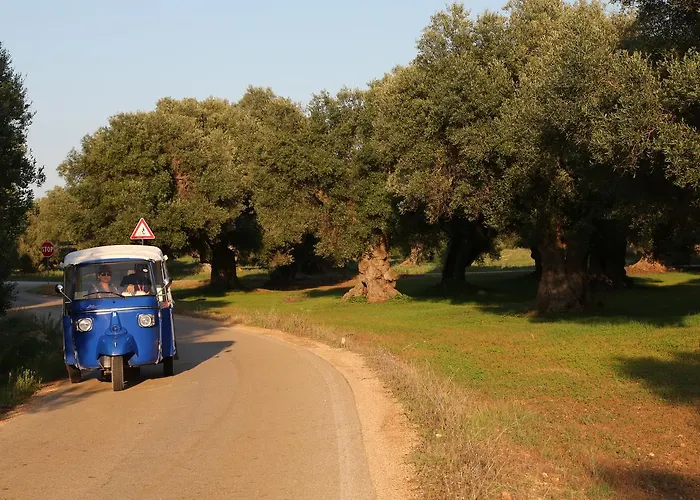 Masseria Le Terrazze Di Farm stay
