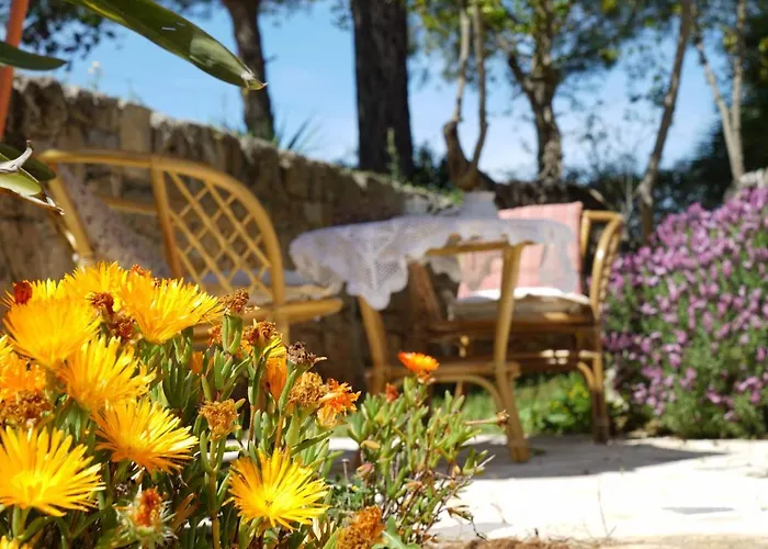 Masseria Le Terrazze Di Farm stay