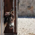 Masseria Le Terrazze Di