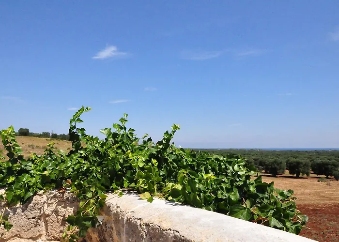 Çiftlik konaklama Masseria Le Terrazze Di