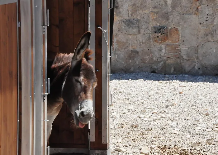 Masseria Le Terrazze Di