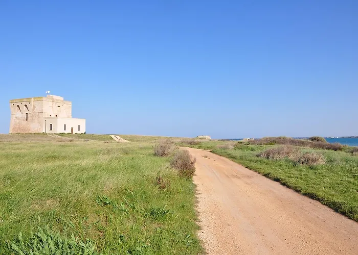 مزرعة للإقامة Masseria Le Terrazze Di Serranova